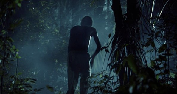 Imagem13